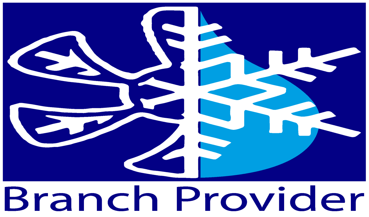 Branch Provider